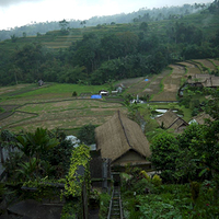 Photo de Bali - Baturiti